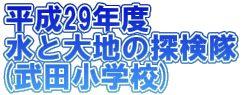����29�N�x ���Ƒ�n�̒T���� (���c���w�Z)