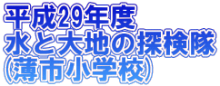 ����29�N�x ���Ƒ�n�̒T���� (���s���w�Z)