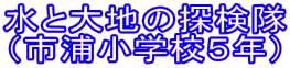 ���Ƒ�n�̒T���� �i�s�Y���w�Z�T�N�j
