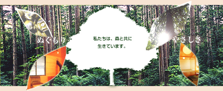 �g�b�v�摜