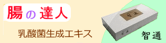 ̉Pɒq