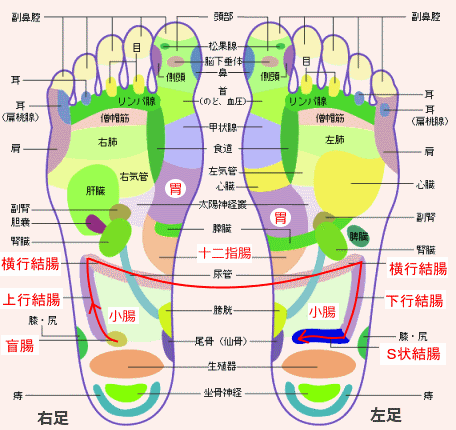 甲 足つぼ