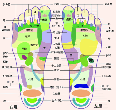 親指 ツボ 足