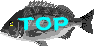 TOP�ɂ��ǂ�܂��B